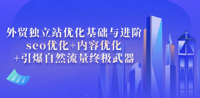 外贸独立站怎么做：外贸独立站seo优化基础与进阶，引爆seo自然流量